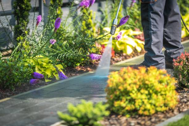 Best Restaurant Pressure Washing  in Shorewood Tower Hills Harbert, MI